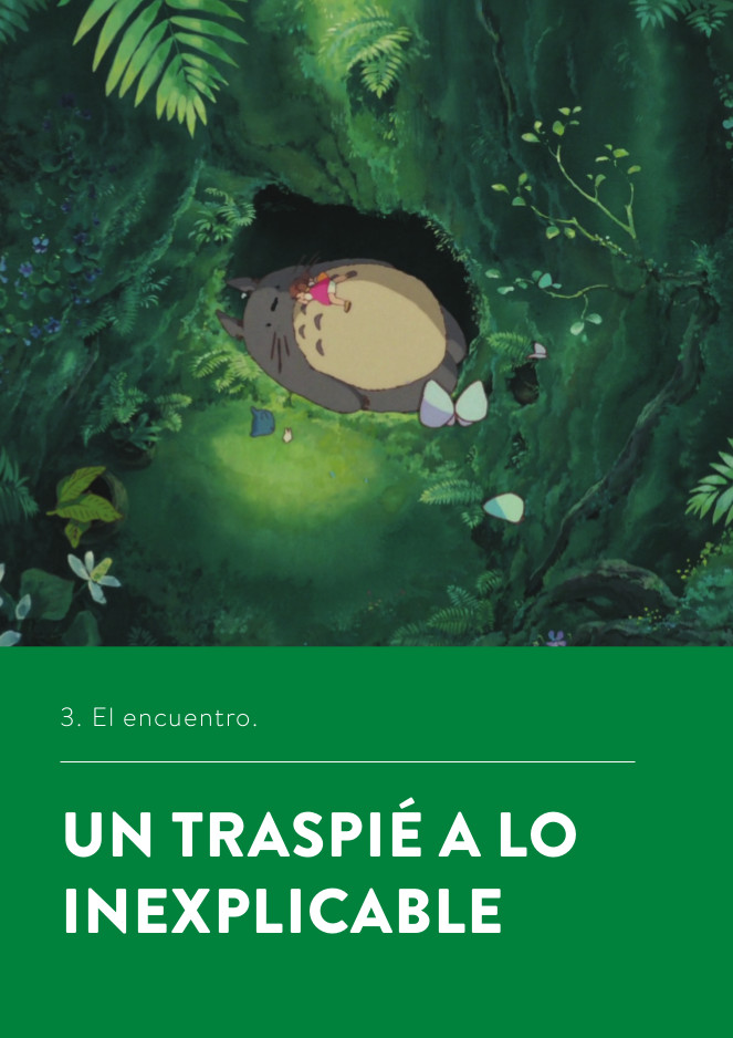 EN BUSCA DE TOTORO: APUNTES DE UN PASEO POR EL BOSQUE