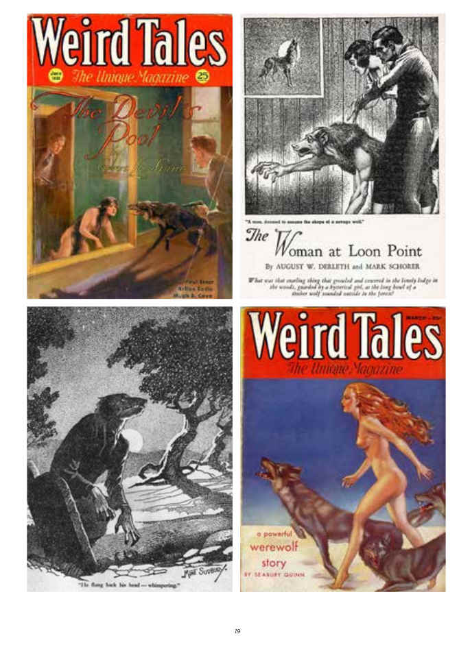 NO SALGAIS AL PÁRAMO