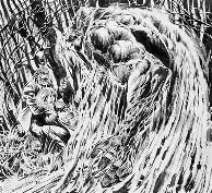 LA COSA DEL PANTANO: GÉNESIS OSCURA (ED. DE LUJO B/N).