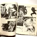 EL ÚLTIMO CANTO DEL GALLO.