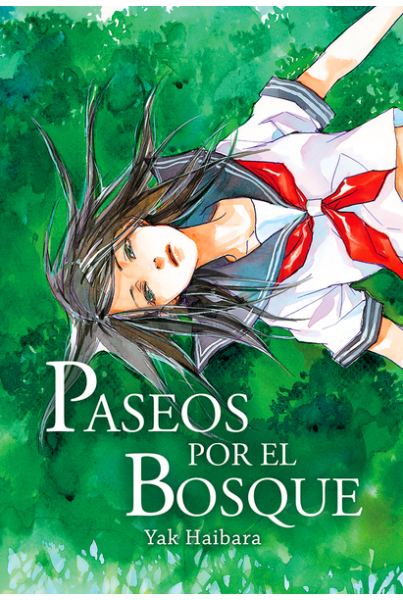PASEOS POR EL BOSQUE 