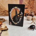 DULCE DE RATA, CARNET DE VACUCACIÓN MASCOTAS