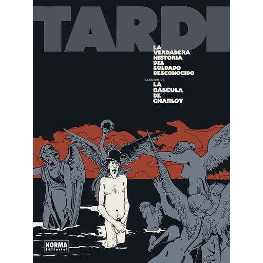 [9788467950687] LA VERDADERA HISTORIA DEL SOLDADO DESCONOCIDO